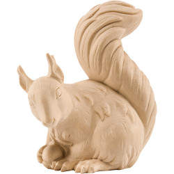 Scoiattolo accovacciato