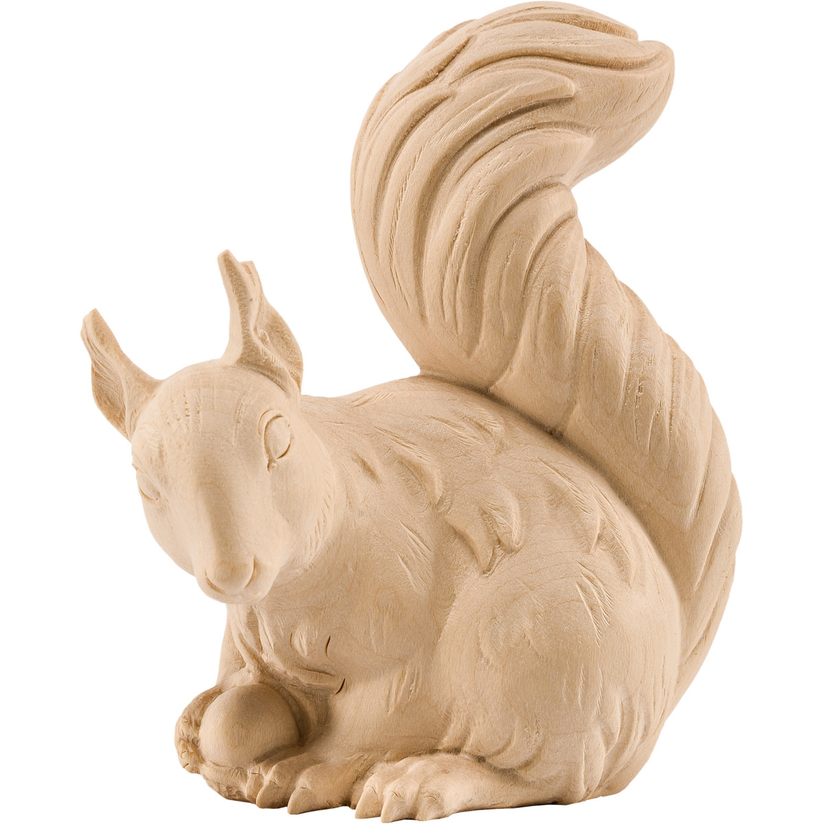 Scoiattolo accovacciato