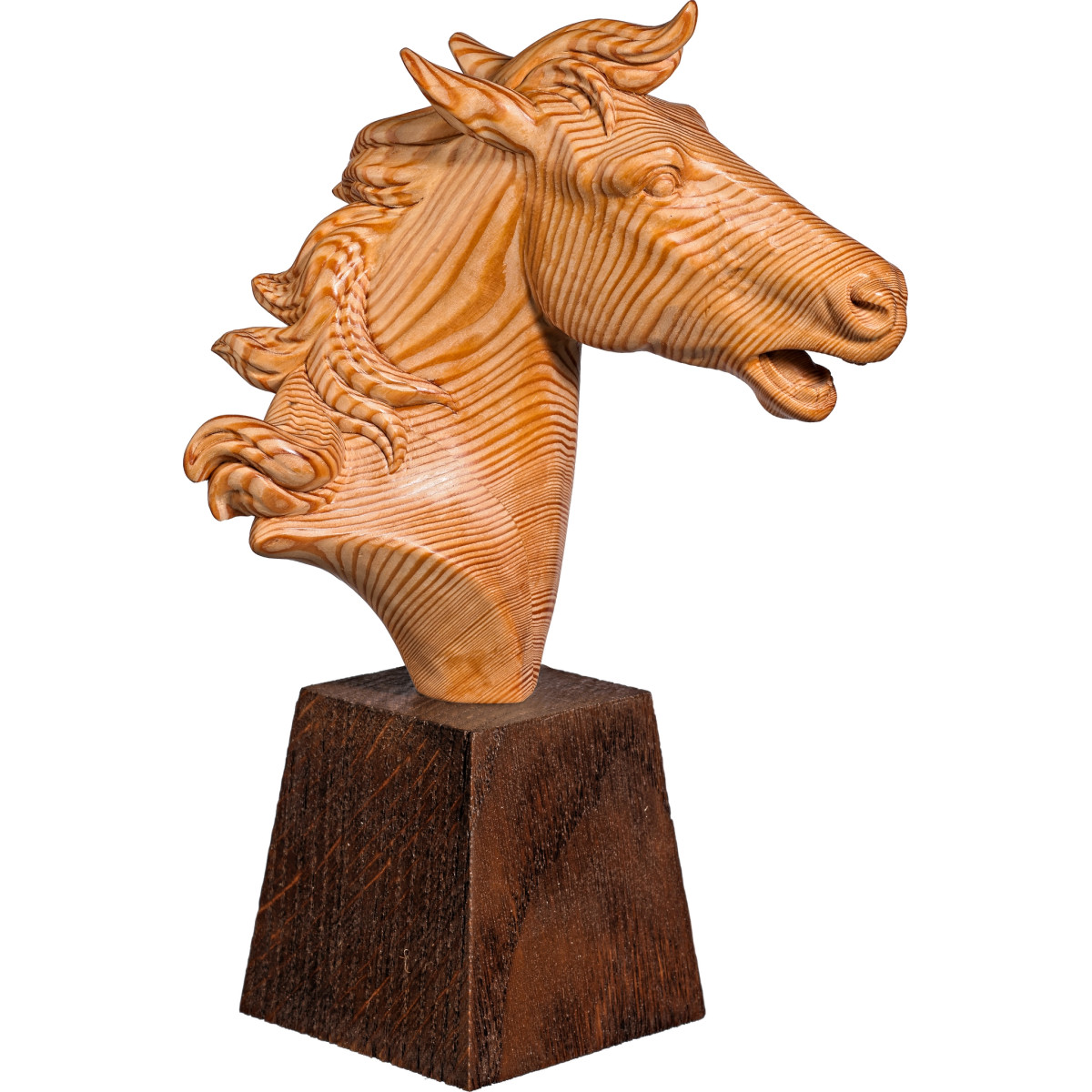 Cabeça de cavalo com pedestal
