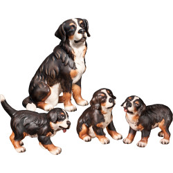 Bernese mountain dog with puppies (4 pieces)
