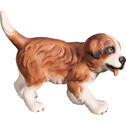 Cachorro de San Bernardo | Bergland