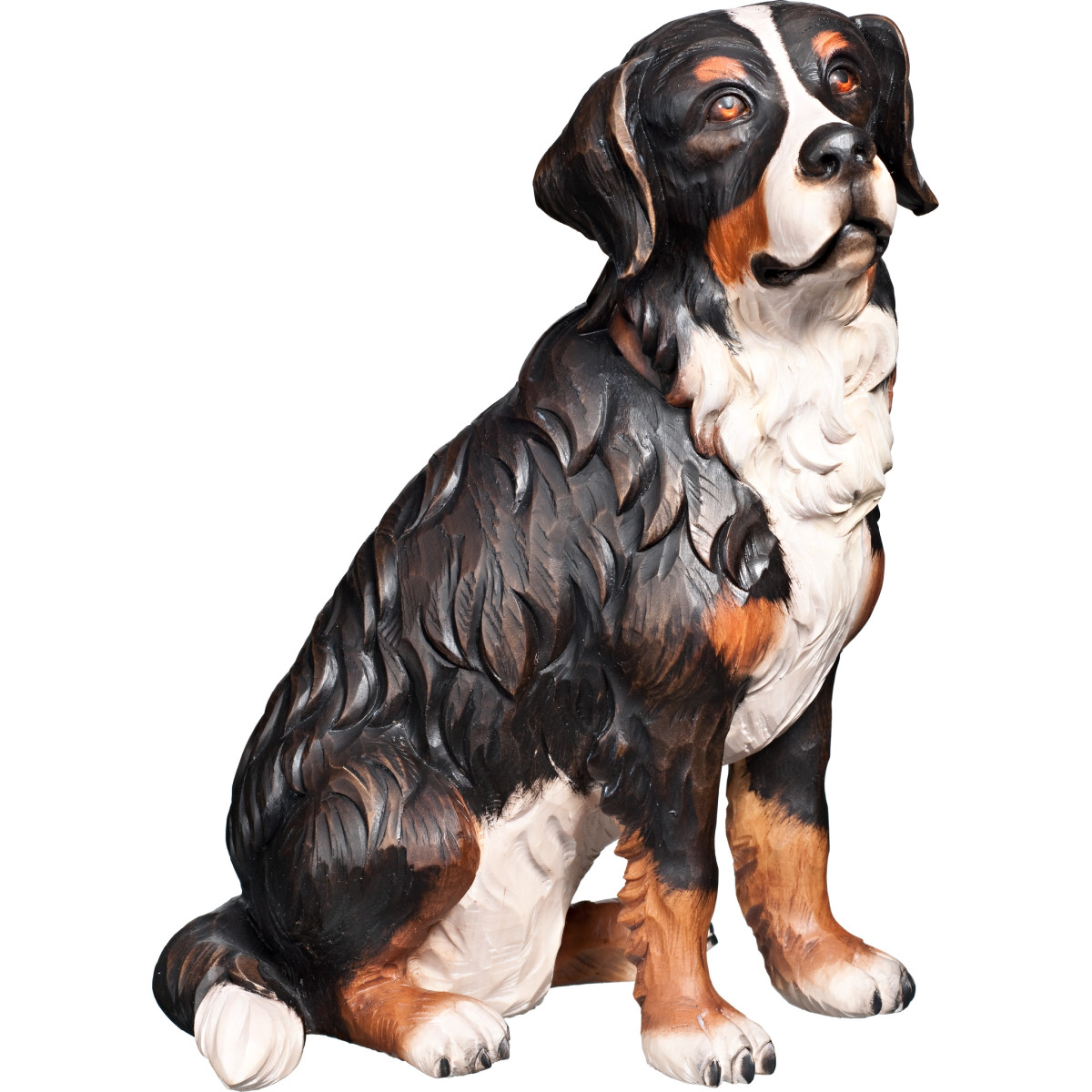 Bernese mountain dog