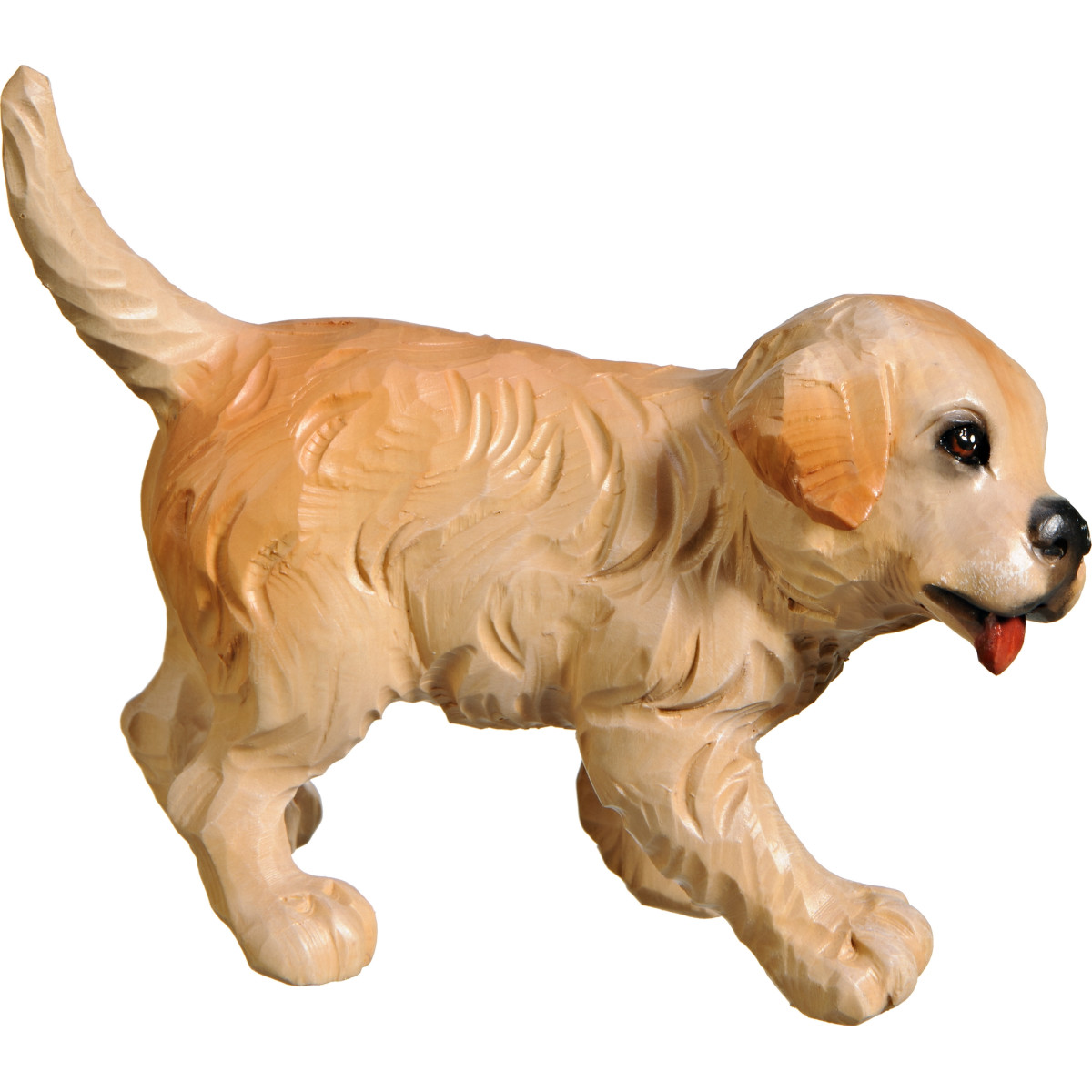 Cachorro Golden Retriever | Bergland