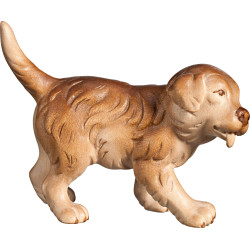Cachorro de Perro Bernés | Bergland