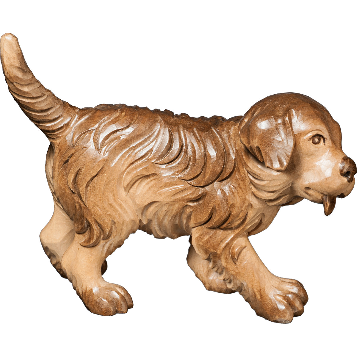 Cachorro de Perro Bernés | Bergland