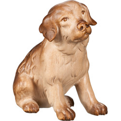 Young Golden Retriever carving | Bergland