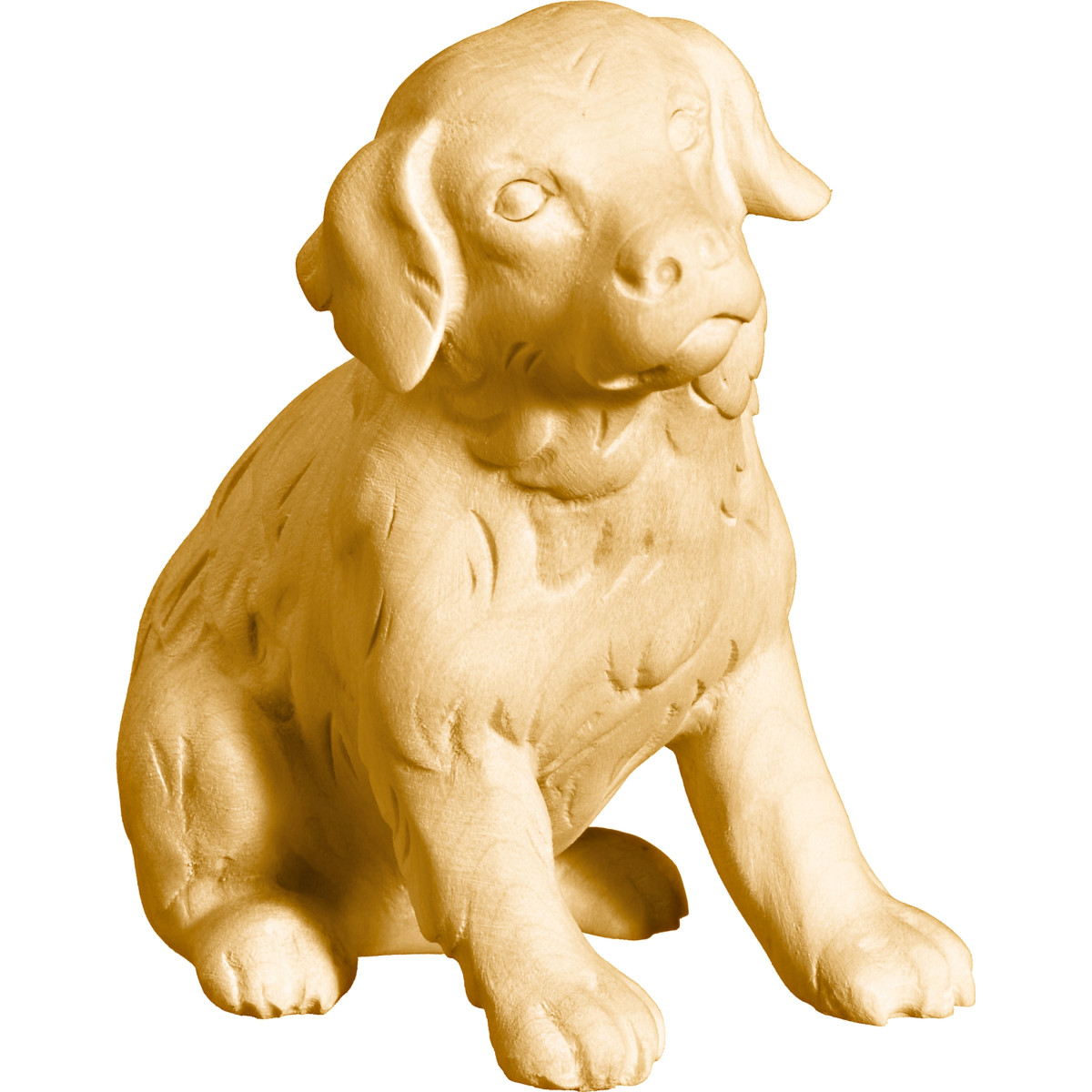 Joven Golden Retriever madera | Bergland