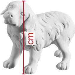 Cachorro São Bernardo