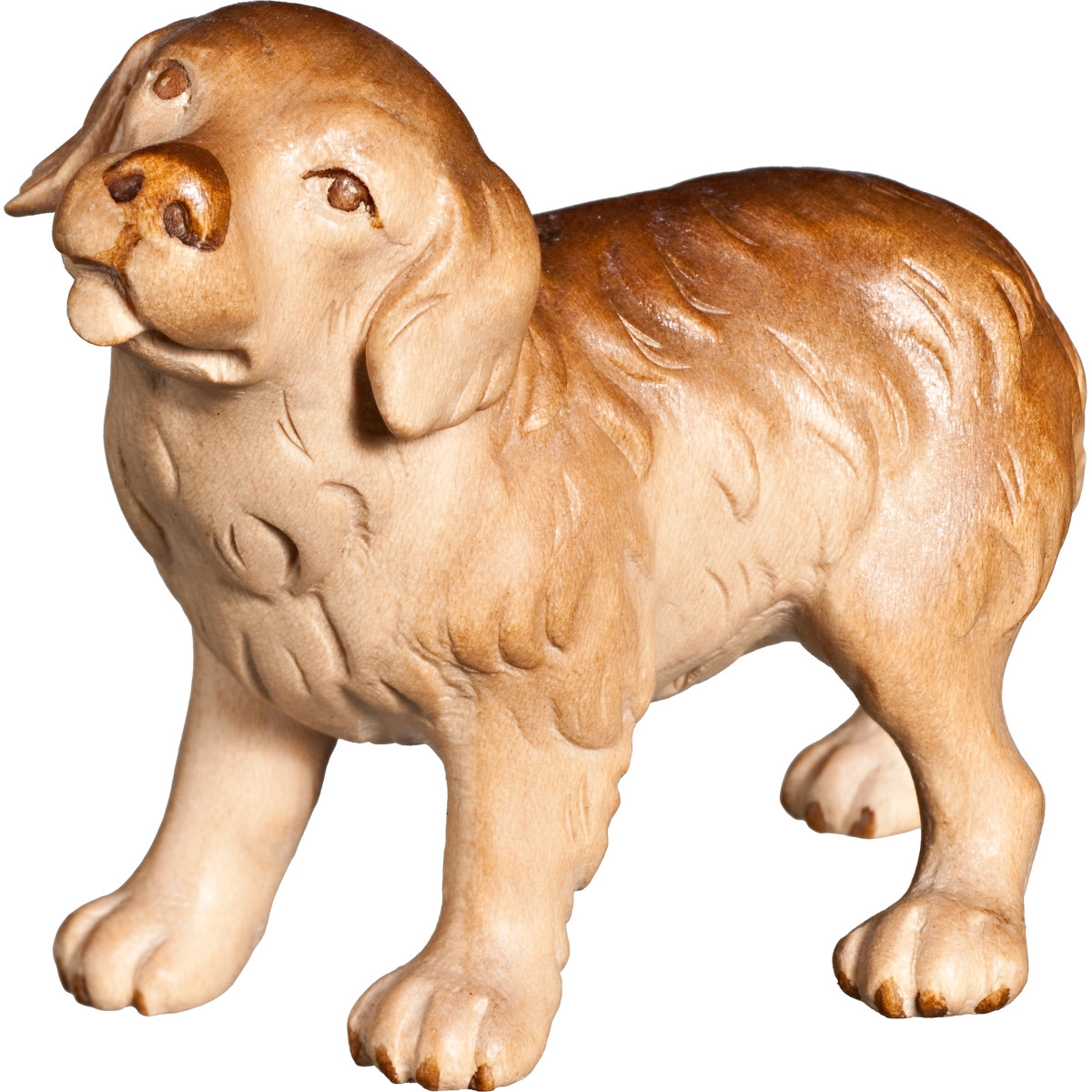 Cachorro Bernés tallado | Bergland