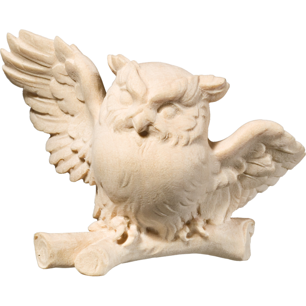 Mocho voador no ramo