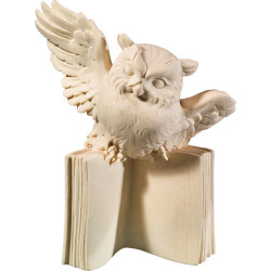 Büchereule fliegend