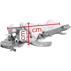 Mocho voador no ramo de parede