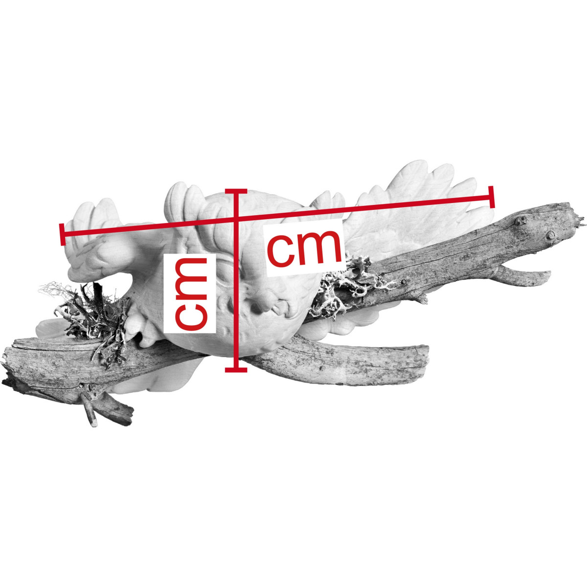 Mocho voador no ramo de parede