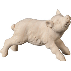 Wildschwein Frischling