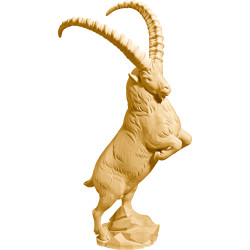 Alpine Ibex