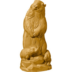 Marmota