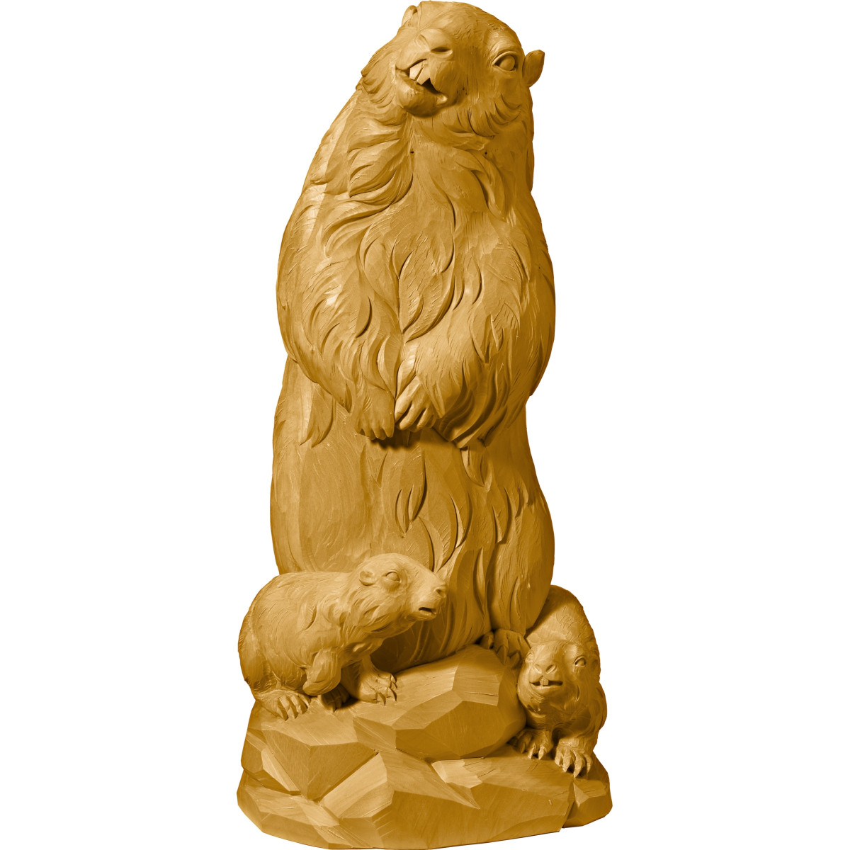 Marmota