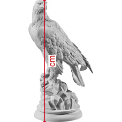 Aquila di mare dalla testa bianca | Bergland