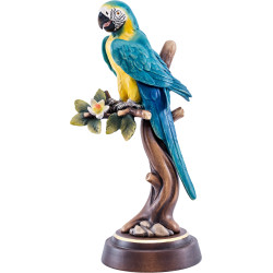 Parrot on branch right