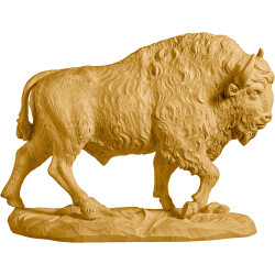 Bison