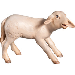 Cordero