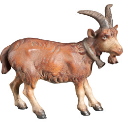 Capra con campanellino