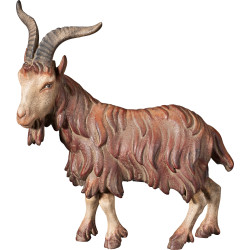 He-goat
