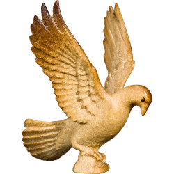 Colomba in volo