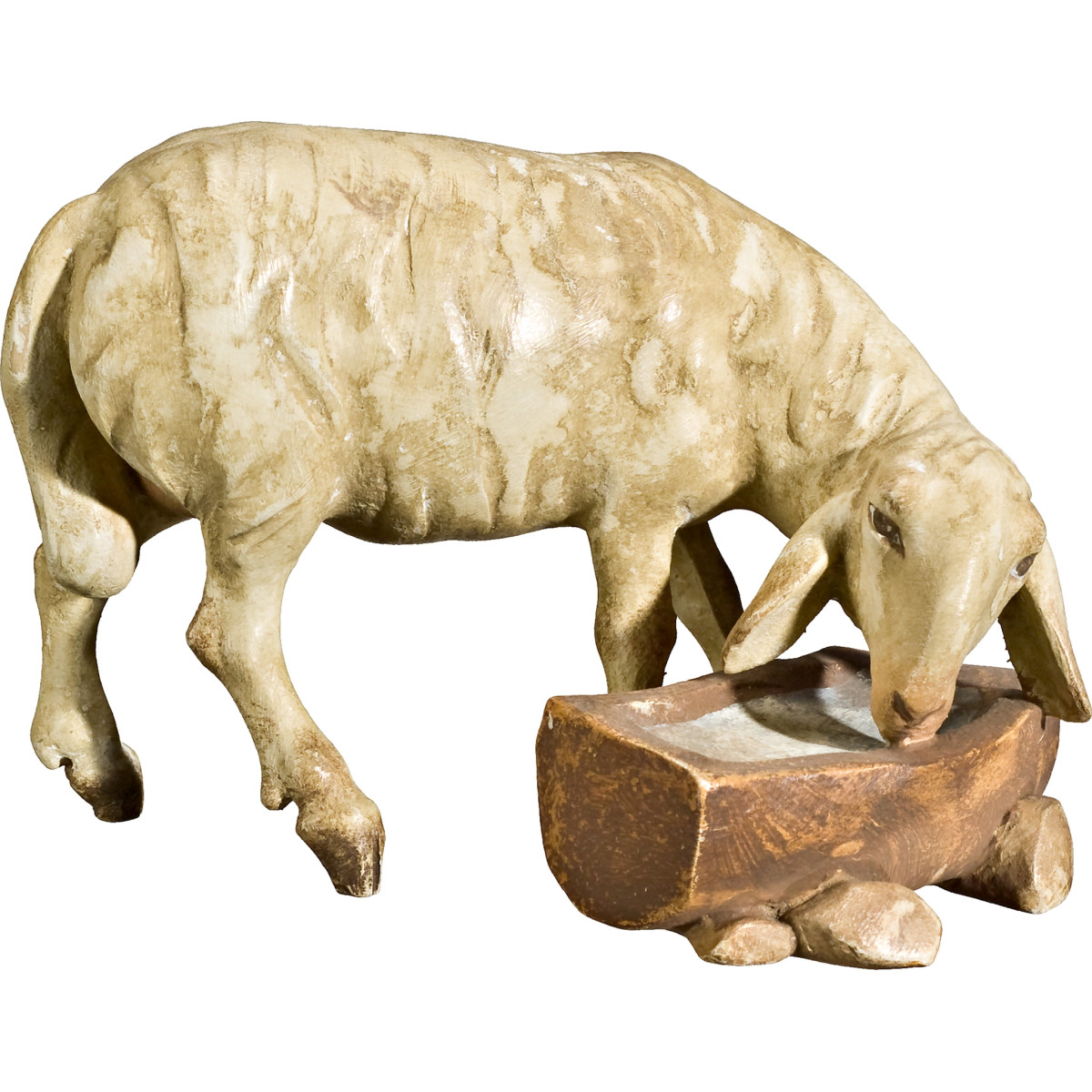 Oveja en el abrevadero