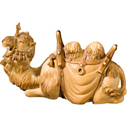 Camel lying