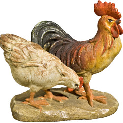 Chicken group