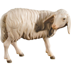 Sheep looking back (without base)