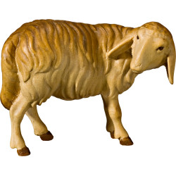 Sheep looking back (without base)