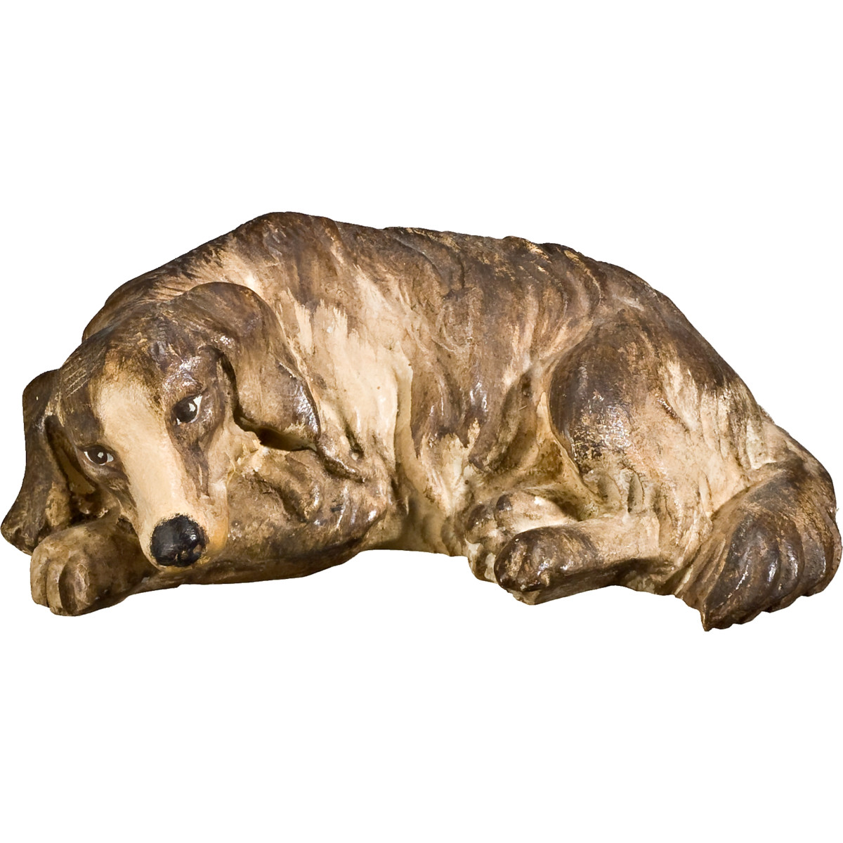 Dog lying