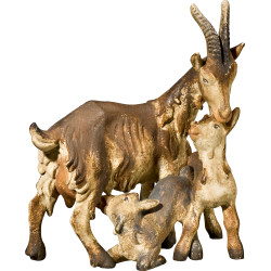 Goat three-group