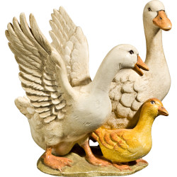 Geese group