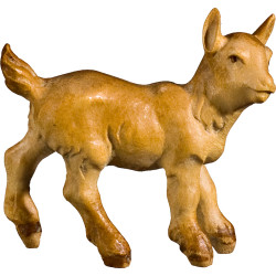 Cabrito