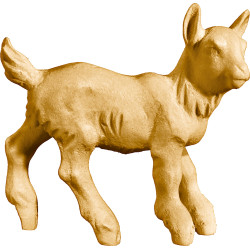 Cabrito