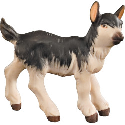Cabrito