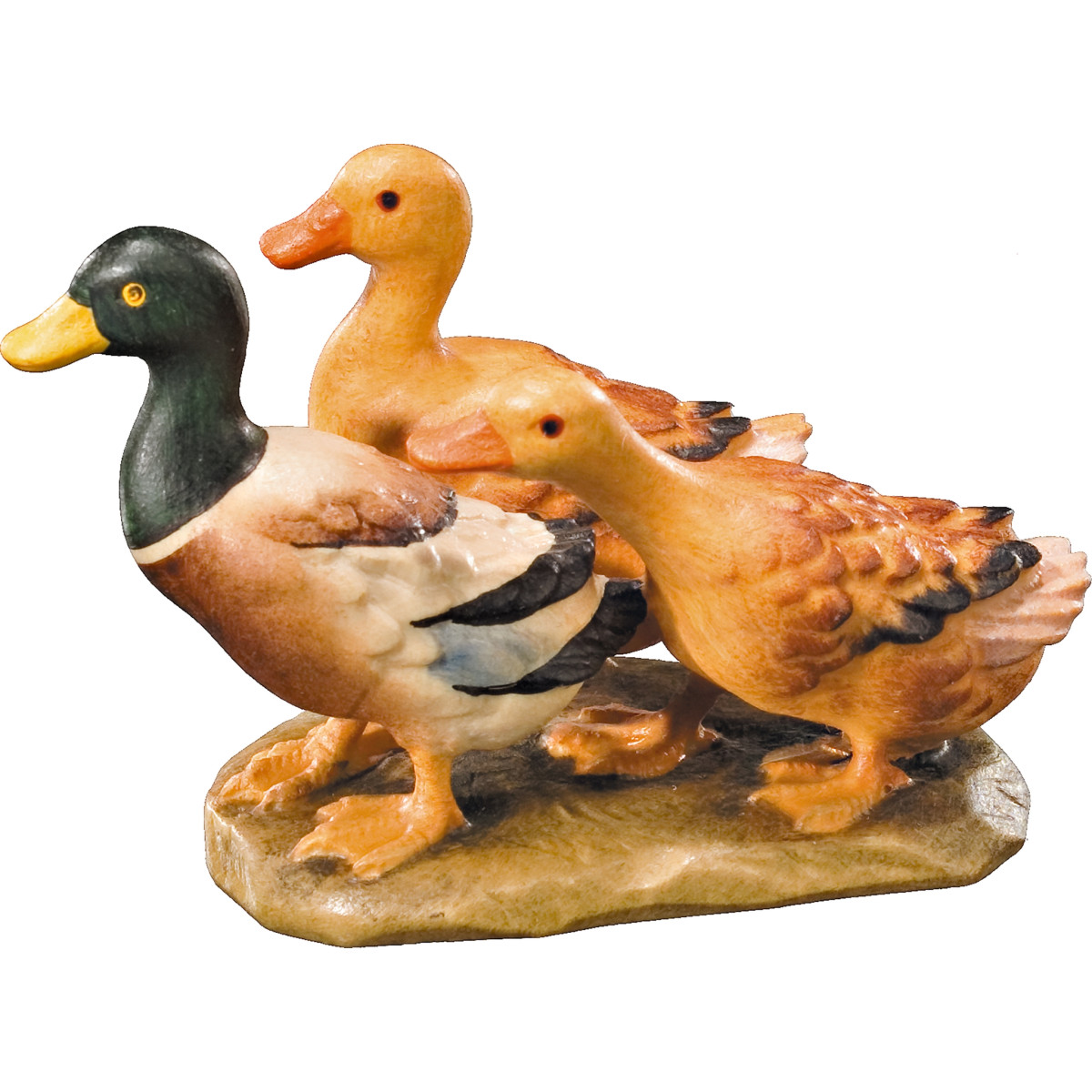 Grupo de patos