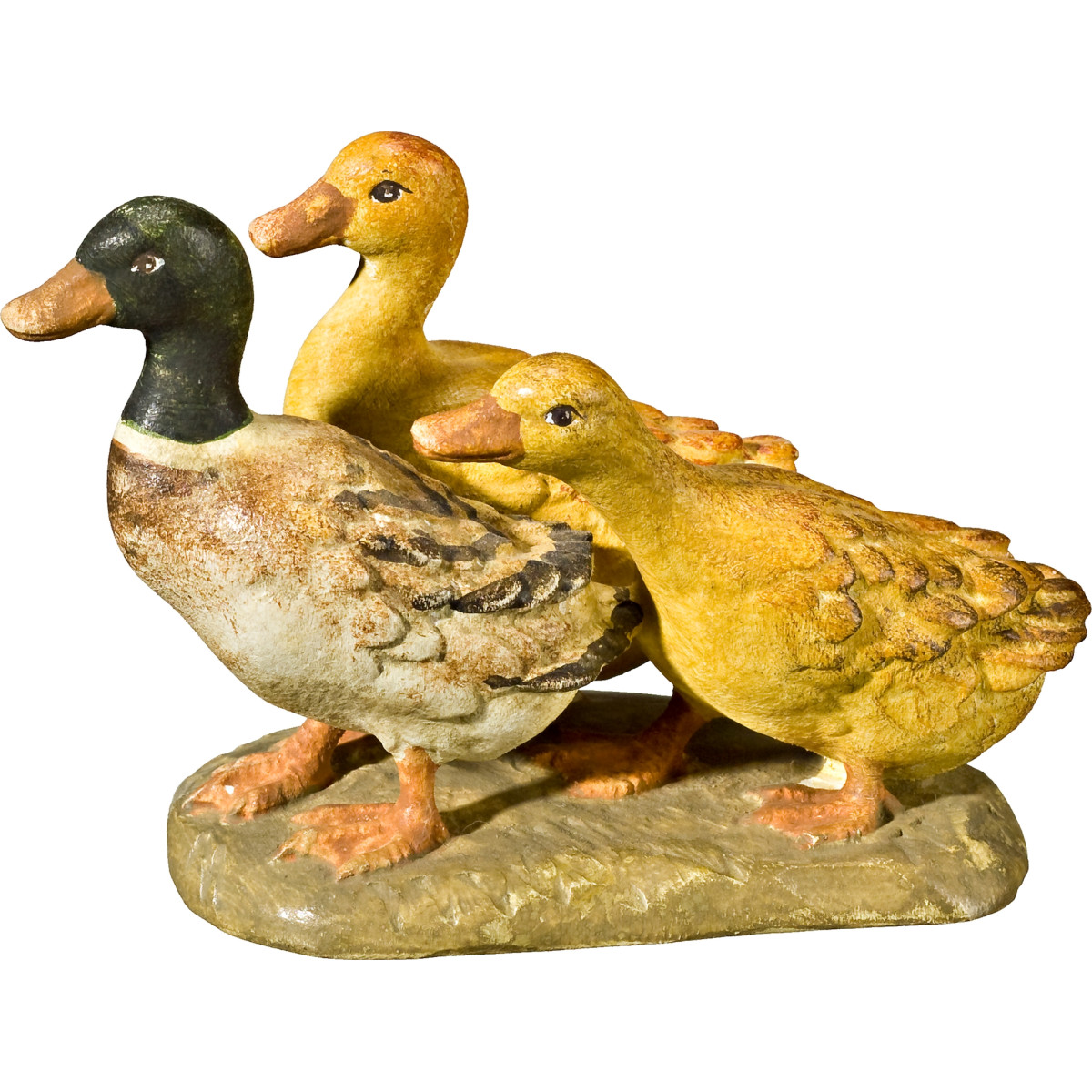 Grupo de patos