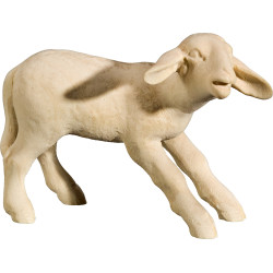 Lamb