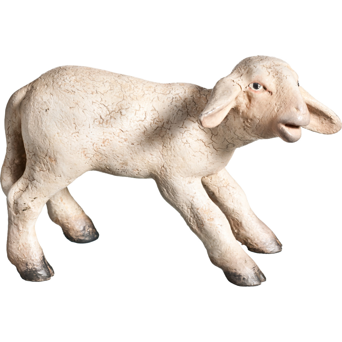 Lamm