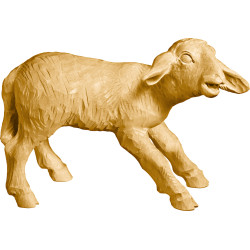 Lamm