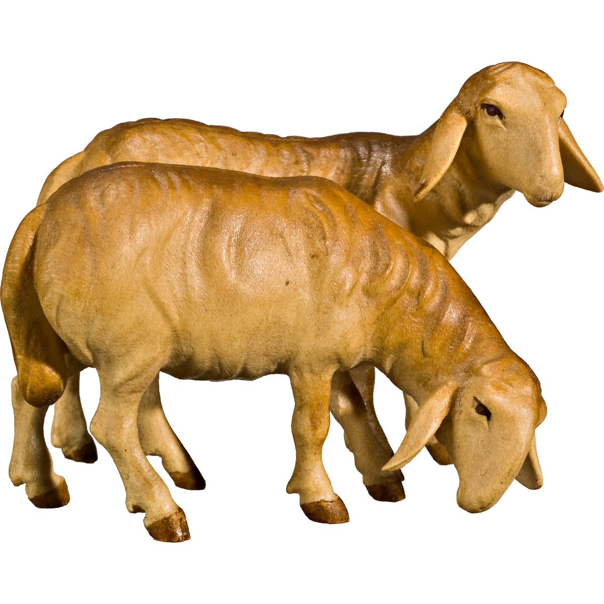 Doppelschaf