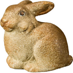 Rabbit little lying