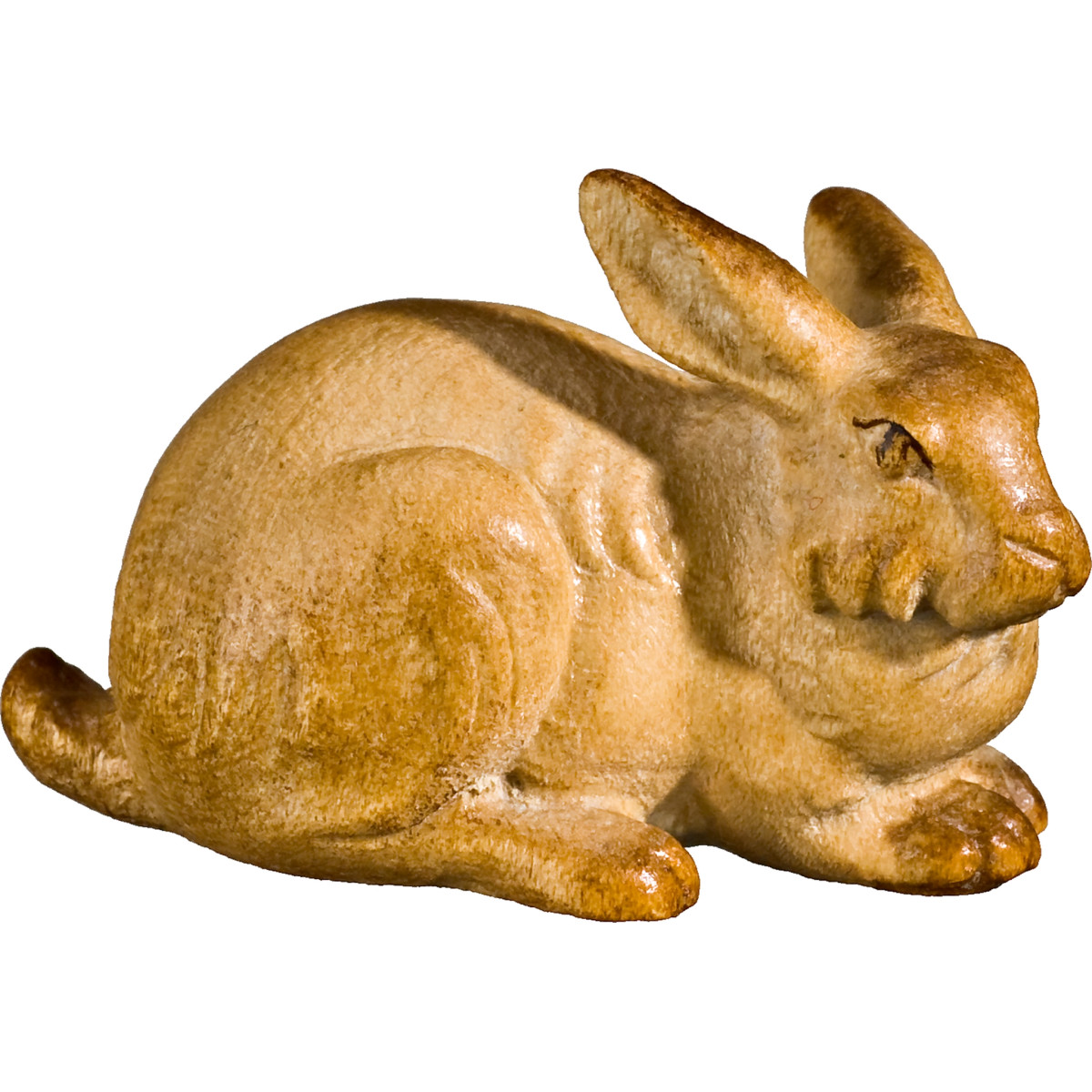 Rabbit lying