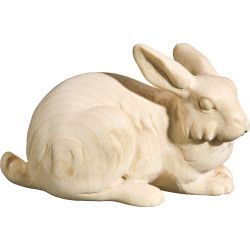 Rabbit lying