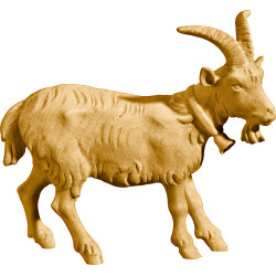 Capra con campanellino