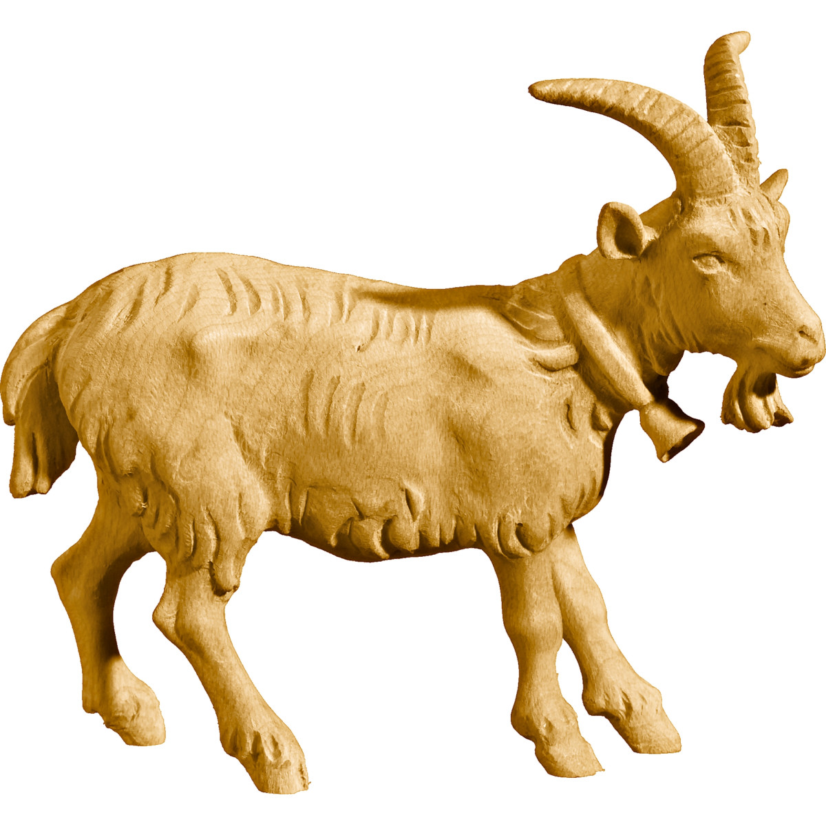 Capra con campanellino